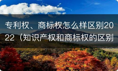 专利权、商标权怎么样区别2022（知识产权和商标权的区别）