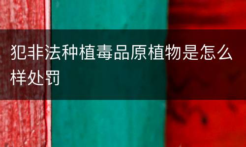 犯非法种植毒品原植物是怎么样处罚