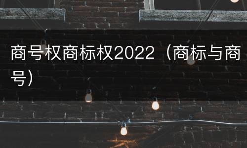 商号权商标权2022（商标与商号）