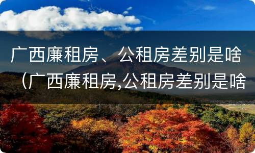 广西廉租房、公租房差别是啥（广西廉租房,公租房差别是啥呀）