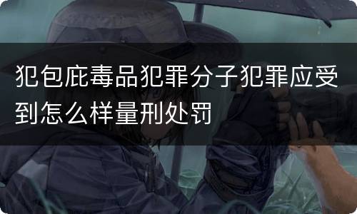 犯包庇毒品犯罪分子犯罪应受到怎么样量刑处罚