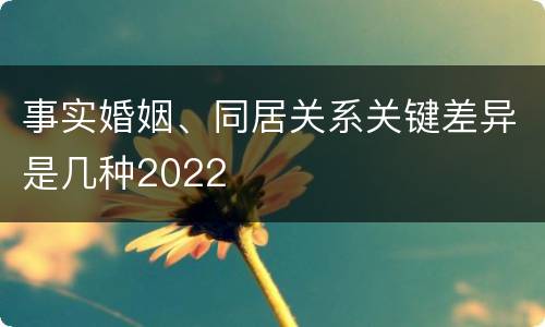 事实婚姻、同居关系关键差异是几种2022