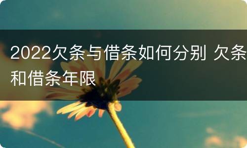 2022欠条与借条如何分别 欠条和借条年限