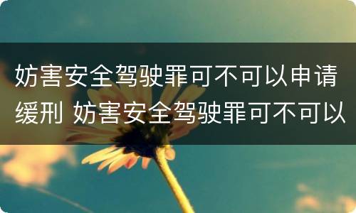 妨害安全驾驶罪可不可以申请缓刑 妨害安全驾驶罪可不可以申请缓刑呢