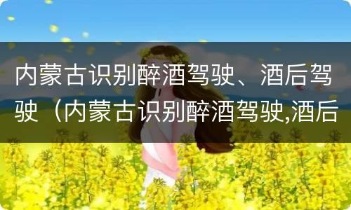 内蒙古识别醉酒驾驶、酒后驾驶（内蒙古识别醉酒驾驶,酒后驾驶的标准）
