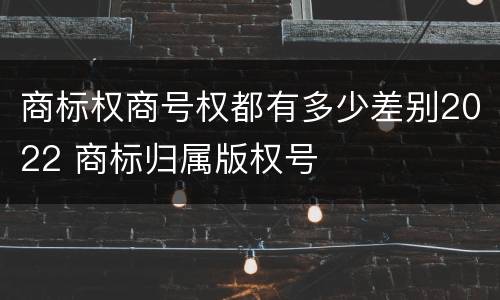 商标权商号权都有多少差别2022 商标归属版权号