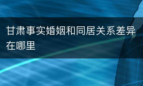 甘肃事实婚姻和同居关系差异在哪里