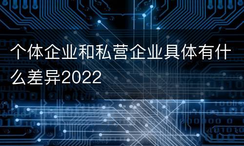 个体企业和私营企业具体有什么差异2022