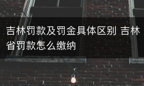 吉林罚款及罚金具体区别 吉林省罚款怎么缴纳