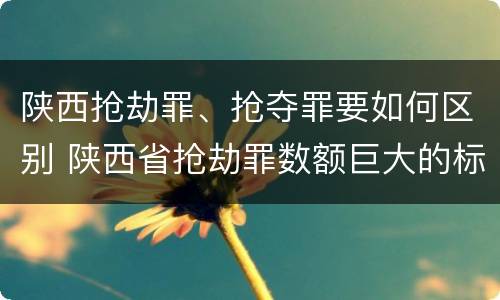陕西抢劫罪、抢夺罪要如何区别 陕西省抢劫罪数额巨大的标准