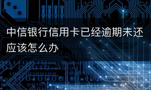 中信银行信用卡已经逾期未还应该怎么办