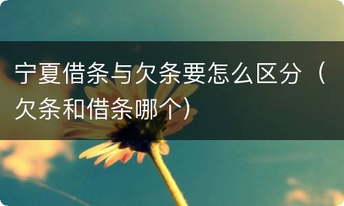 宁夏借条与欠条要怎么区分（欠条和借条哪个）