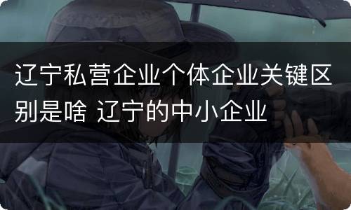 辽宁私营企业个体企业关键区别是啥 辽宁的中小企业