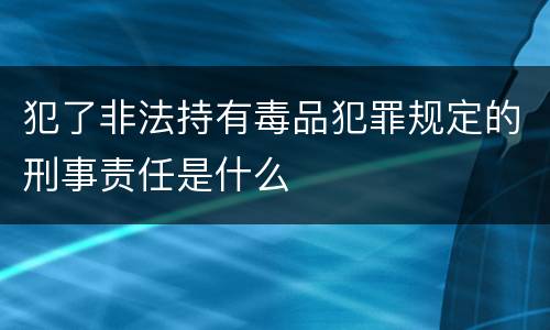 犯了非法持有毒品犯罪规定的刑事责任是什么
