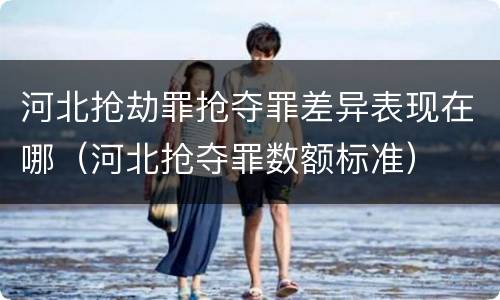 河北抢劫罪抢夺罪差异表现在哪（河北抢夺罪数额标准）