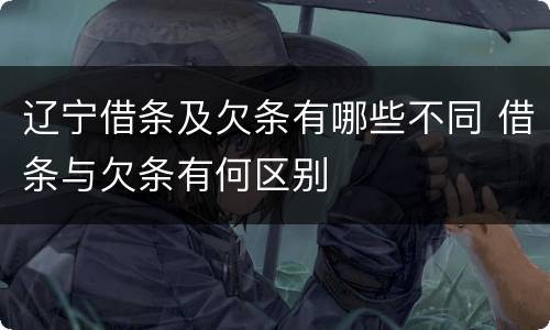 辽宁借条及欠条有哪些不同 借条与欠条有何区别