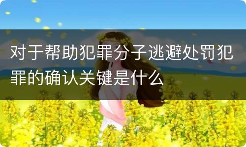 对于帮助犯罪分子逃避处罚犯罪的确认关键是什么