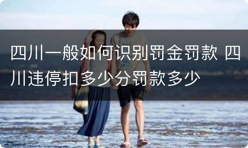 四川一般如何识别罚金罚款 四川违停扣多少分罚款多少