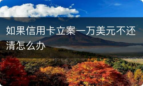 如果信用卡立案一万美元不还清怎么办