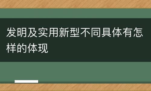 发明及实用新型不同具体有怎样的体现
