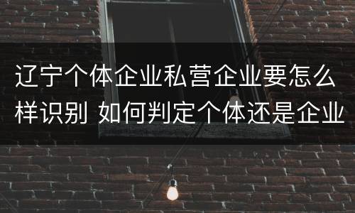 辽宁个体企业私营企业要怎么样识别 如何判定个体还是企业