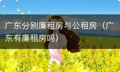 广东分别廉租房与公租房（广东有廉租房吗）