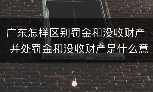 广东怎样区别罚金和没收财产 并处罚金和没收财产是什么意思