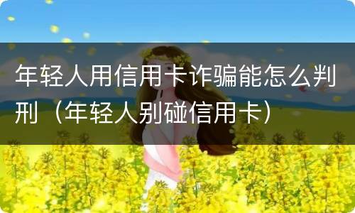 年轻人用信用卡诈骗能怎么判刑（年轻人别碰信用卡）