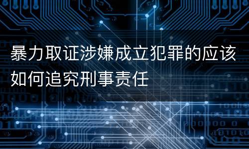 暴力取证涉嫌成立犯罪的应该如何追究刑事责任