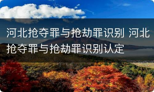 河北抢夺罪与抢劫罪识别 河北抢夺罪与抢劫罪识别认定