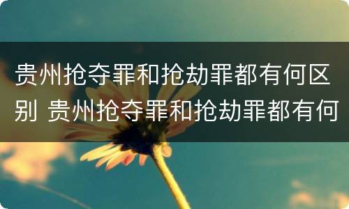 贵州抢夺罪和抢劫罪都有何区别 贵州抢夺罪和抢劫罪都有何区别呢