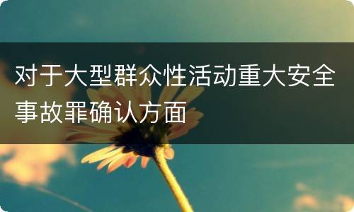 对于大型群众性活动重大安全事故罪确认方面
