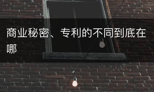 商业秘密、专利的不同到底在哪