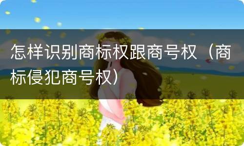 怎样识别商标权跟商号权（商标侵犯商号权）