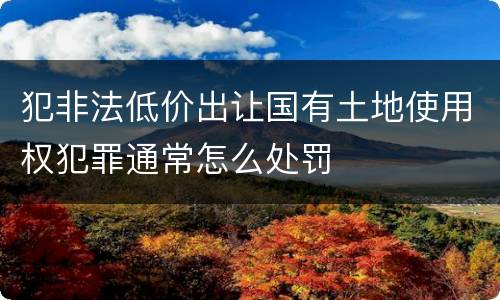 犯非法低价出让国有土地使用权犯罪通常怎么处罚