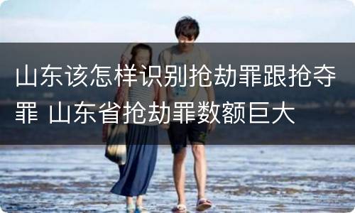 山东该怎样识别抢劫罪跟抢夺罪 山东省抢劫罪数额巨大