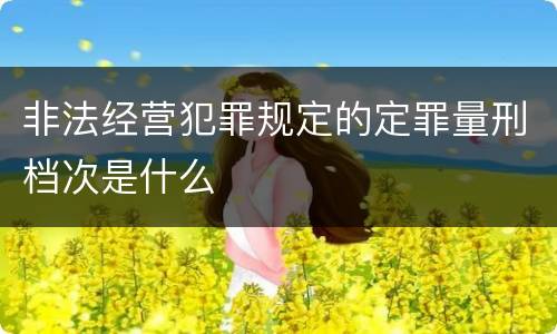 非法经营犯罪规定的定罪量刑档次是什么