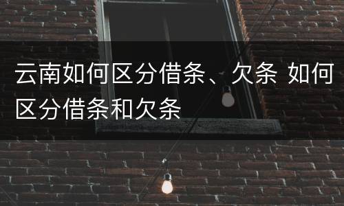云南如何区分借条、欠条 如何区分借条和欠条