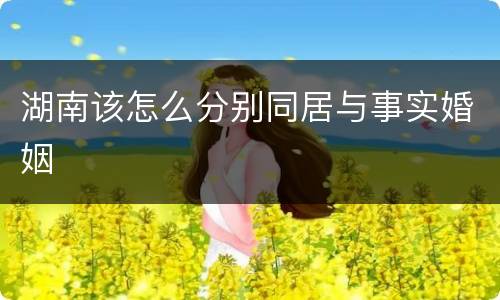湖南该怎么分别同居与事实婚姻