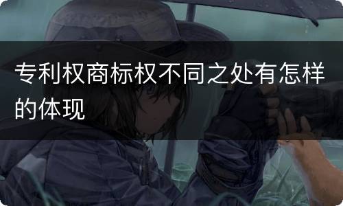 专利权商标权不同之处有怎样的体现