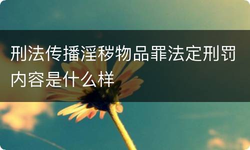 刑法传播淫秽物品罪法定刑罚内容是什么样