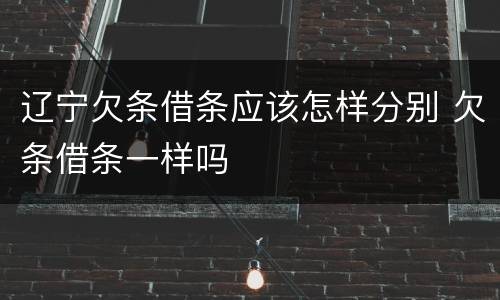 辽宁欠条借条应该怎样分别 欠条借条一样吗