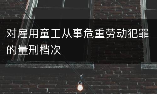 对雇用童工从事危重劳动犯罪的量刑档次