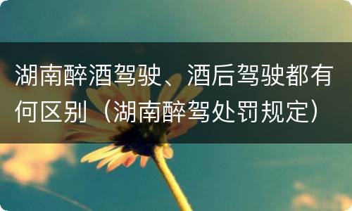 湖南醉酒驾驶、酒后驾驶都有何区别（湖南醉驾处罚规定）