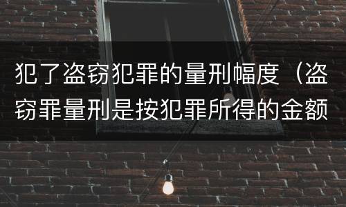 犯了盗窃犯罪的量刑幅度（盗窃罪量刑是按犯罪所得的金额量刑吗）