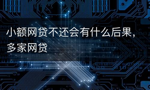 小额网贷不还会有什么后果，多家网贷