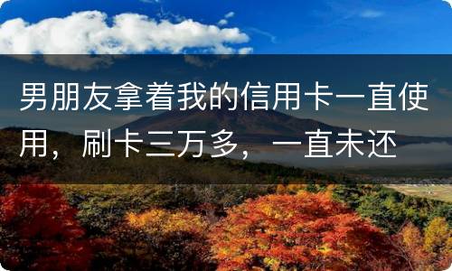 男朋友拿着我的信用卡一直使用，刷卡三万多，一直未还
