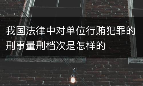 我国法律中对单位行贿犯罪的刑事量刑档次是怎样的