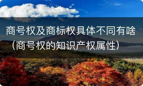 商号权及商标权具体不同有啥（商号权的知识产权属性）