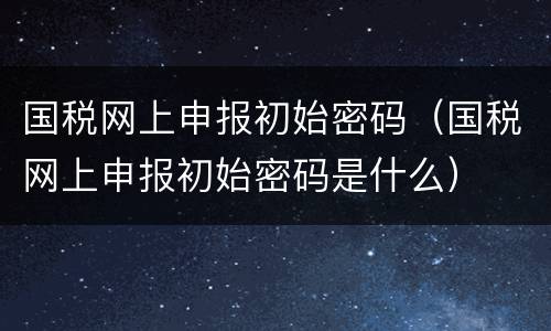 国税网上申报初始密码（国税网上申报初始密码是什么）